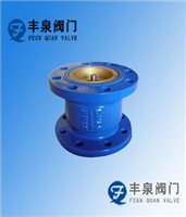 節(jié)能消聲止回閥